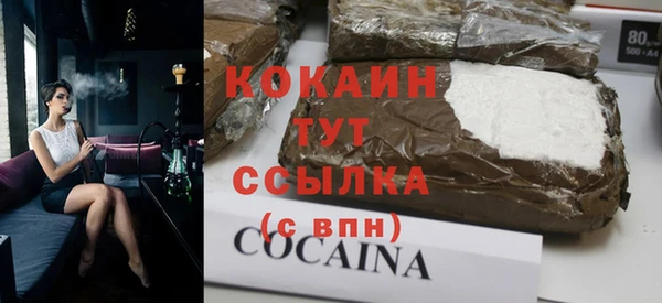 СК Алексин