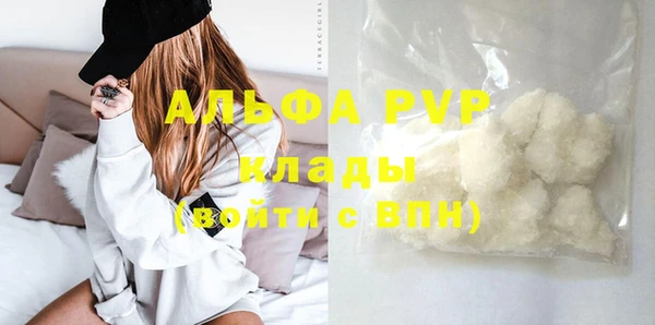 стаф Алзамай