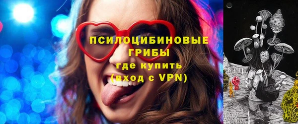 СК Алексин