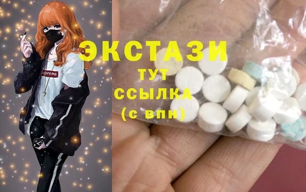 стаф Алзамай