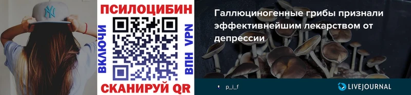 сколько стоит Заволжск Псилоцибиновые грибы Psilocybine cubensis