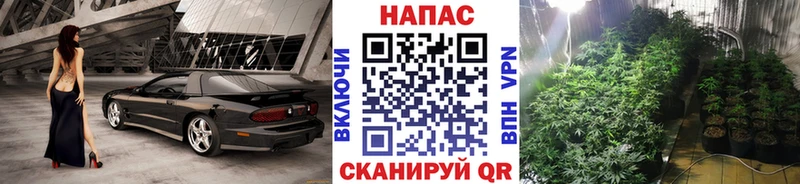 Канабис OG Kush Заволжск